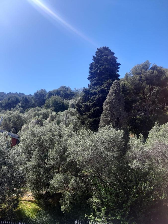 Con Splendida Vista Mare E Golfo *